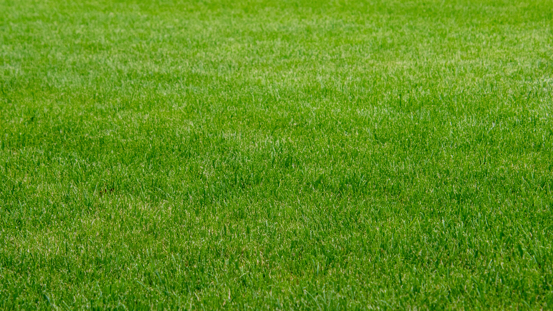 Green Vows Estate - Beautiful outdoor venue with lush green landscape