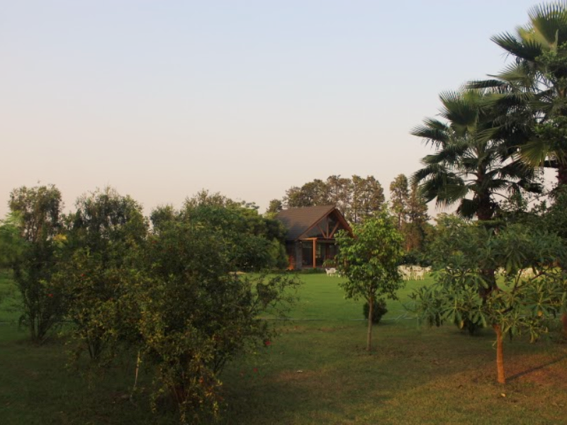 Green Vows Estate - Evening View