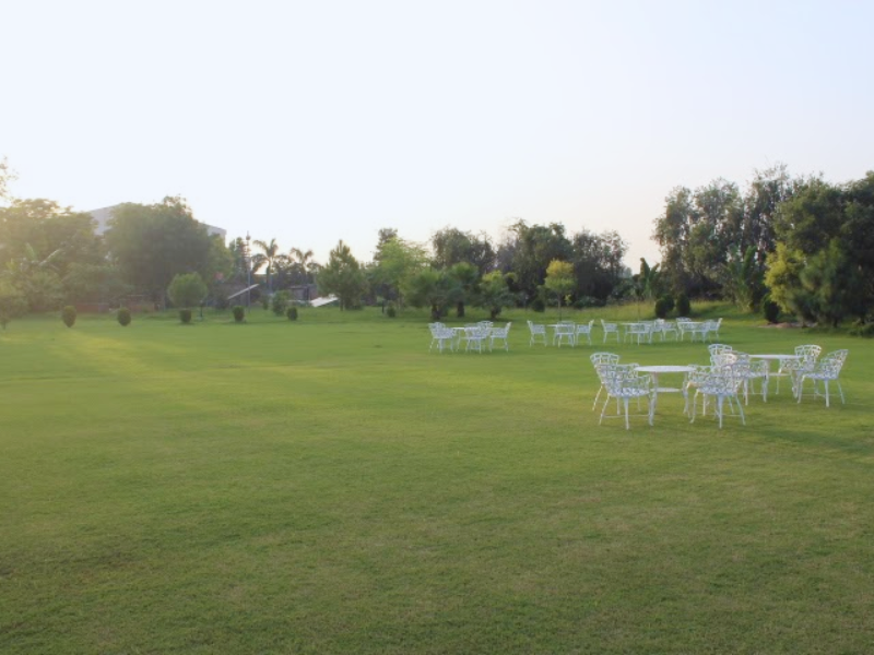 Green Vows Estate - Lush Green